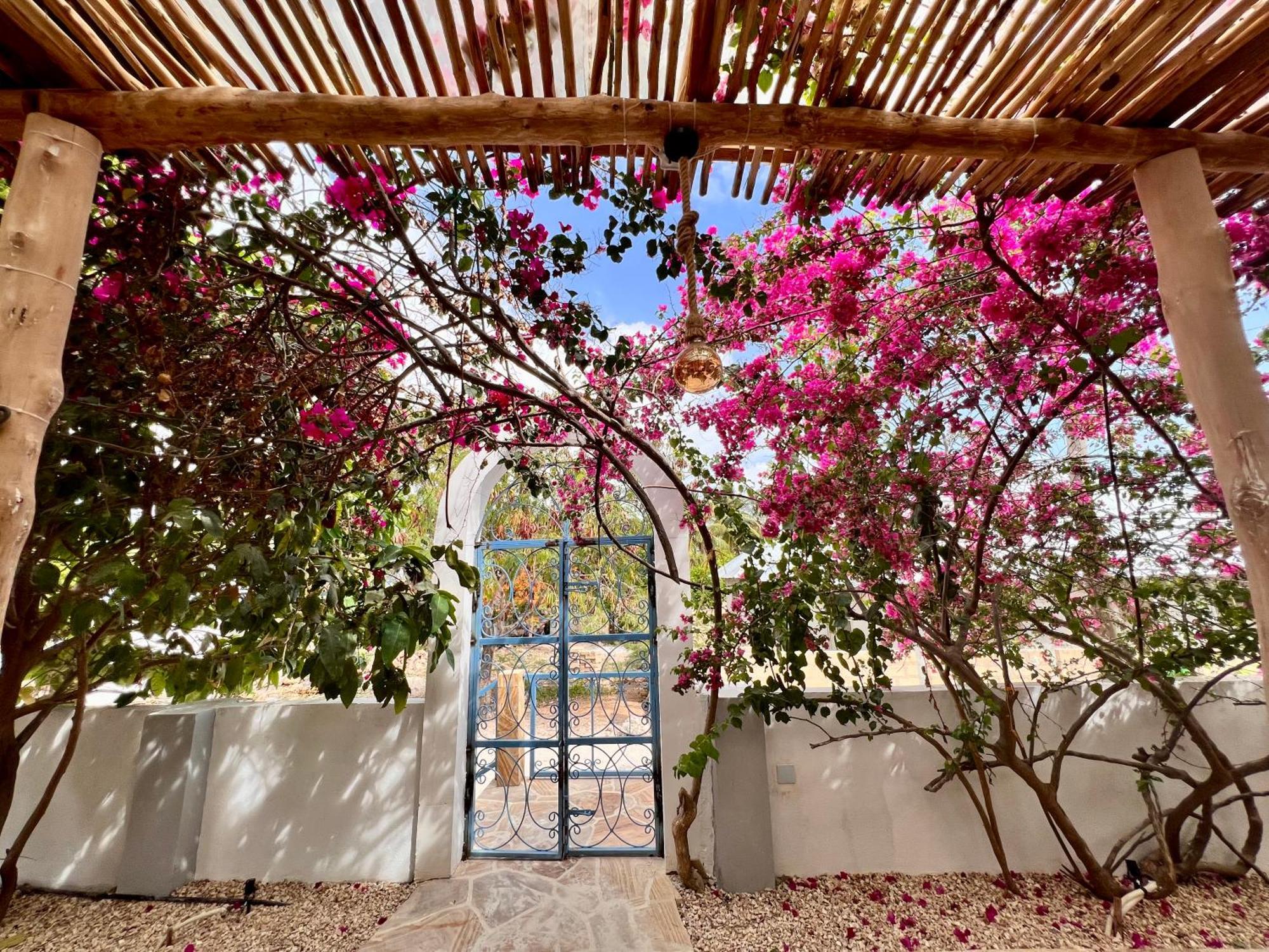 Barabara House Bed and Breakfast Jambiani  Εξωτερικό φωτογραφία